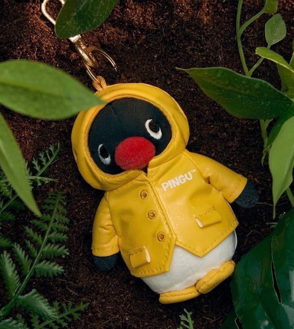 605072782_25610197635266719_8840599879141894232_n