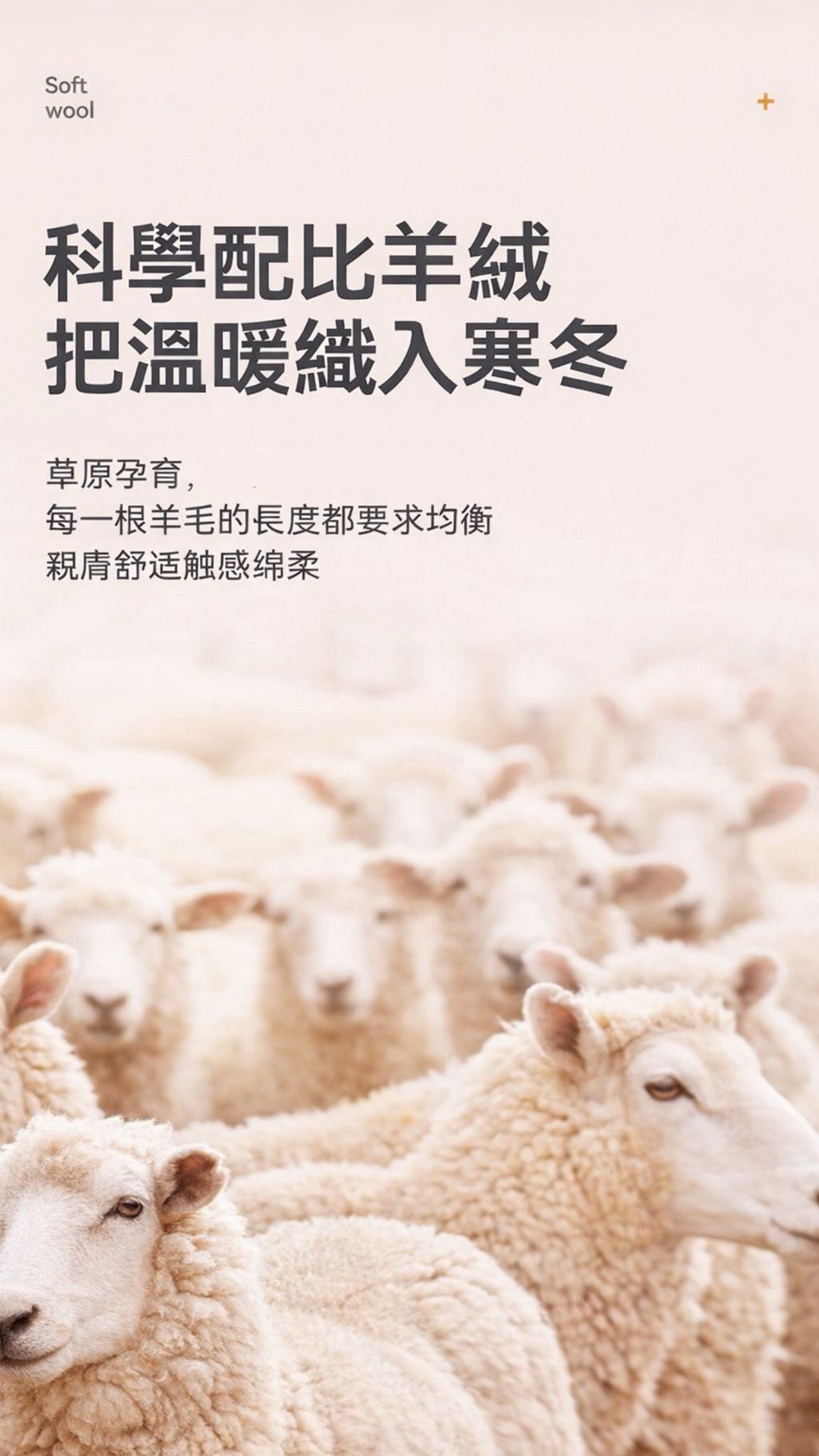 611279015_25698720103081138_498712335885018010_n