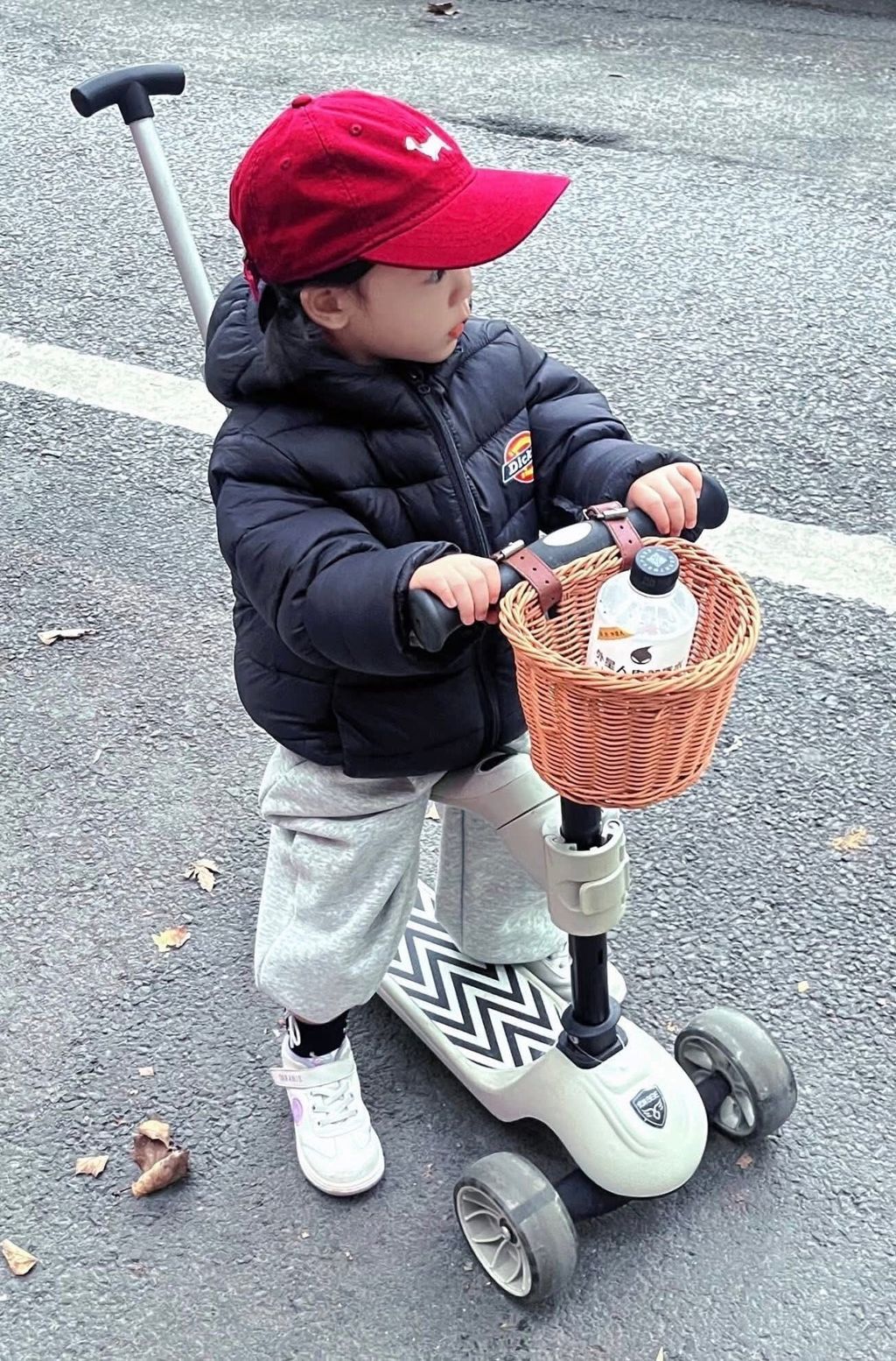 641335654_26099335469686264_4581422142838322535_n