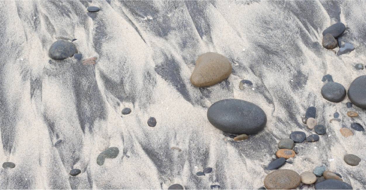 The Neutrals