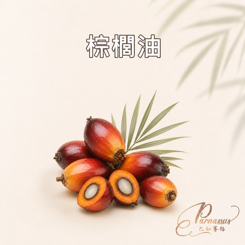 棕櫚油