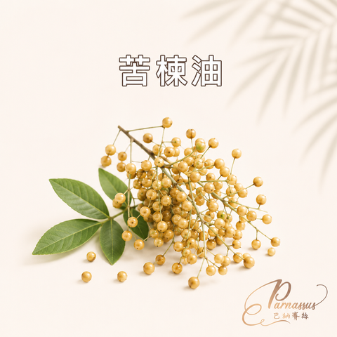 苦楝油
