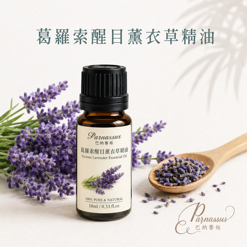 葛羅索醒目薰衣草