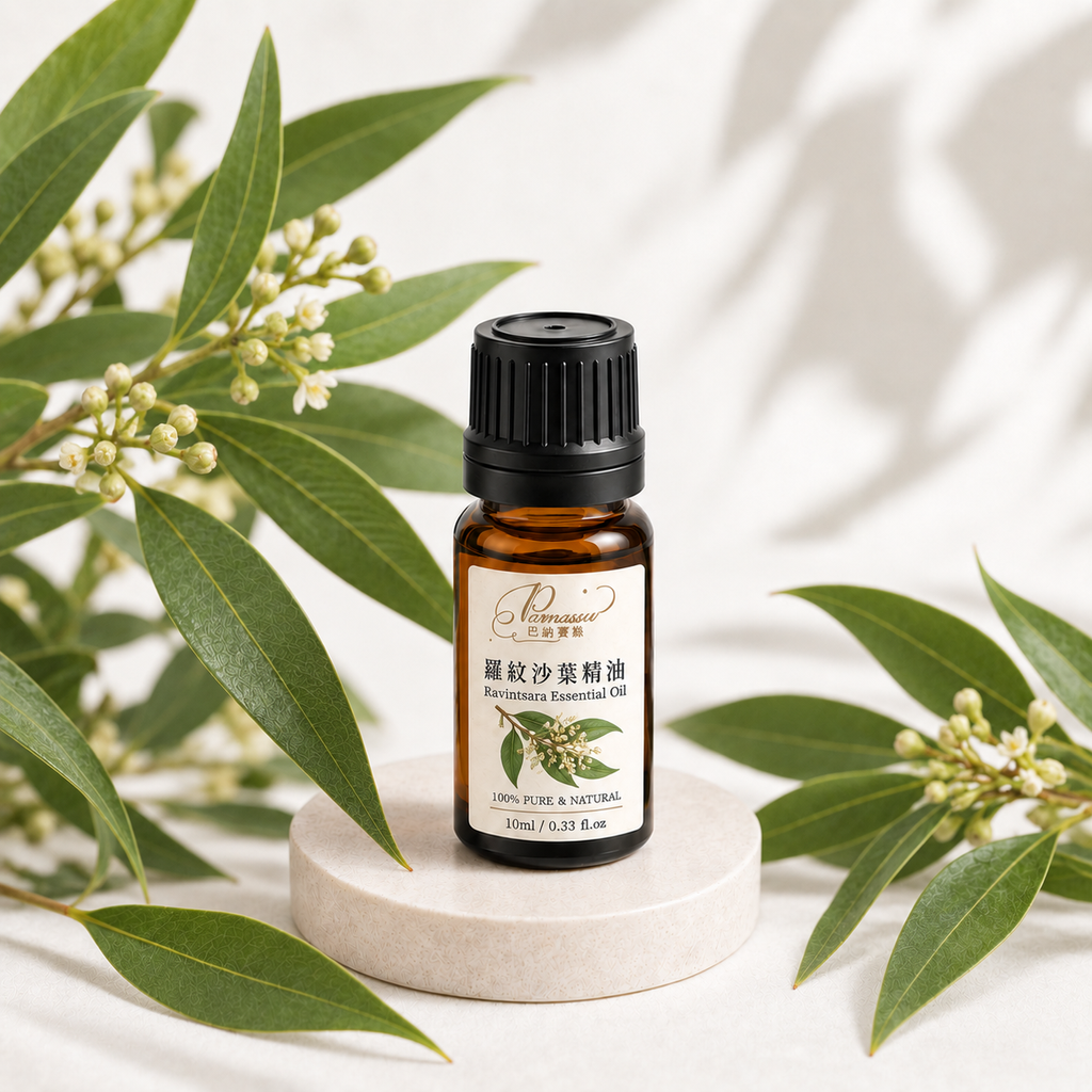 羅紋沙葉