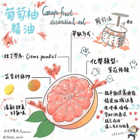 230092937_3009485779308860_1511384125989995333_n