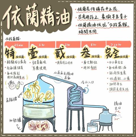 275285239_424664332792828_419735087960056796_n