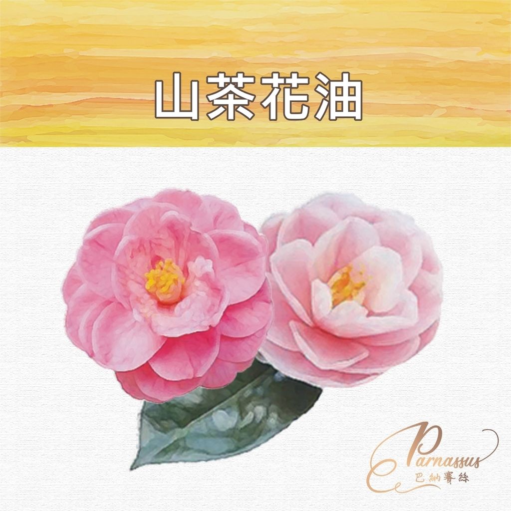 山茶花油