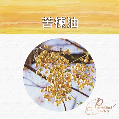 苦楝油