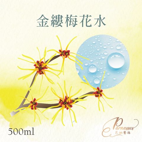 金縷梅花水