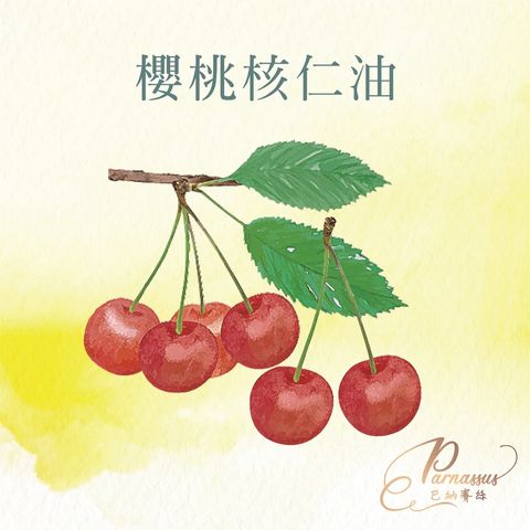 櫻桃核仁油