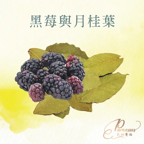 黑梅與月桂葉