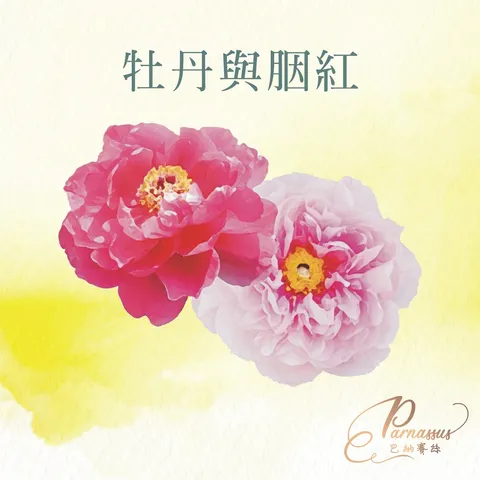 牡丹與胭紅