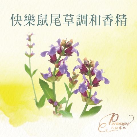 快樂鼠尾草調和香精