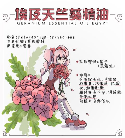 埃及天竺葵精油