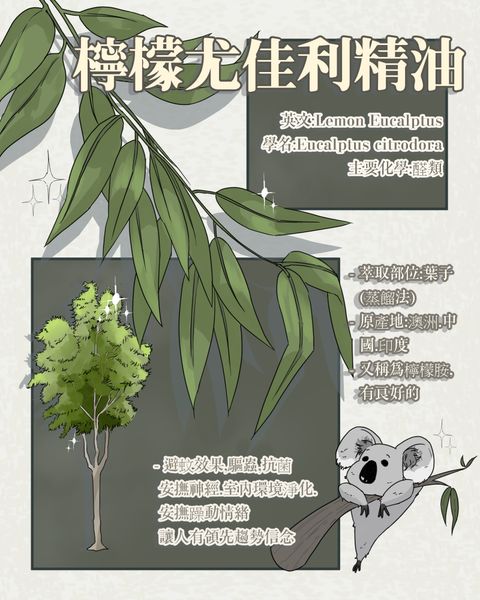 檸檬尤佳利精油