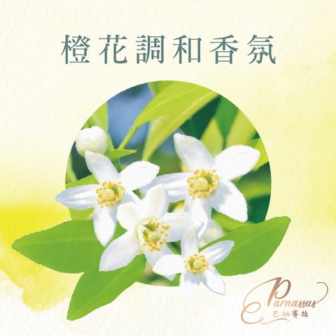 巴納賽絲-蝦皮圖片