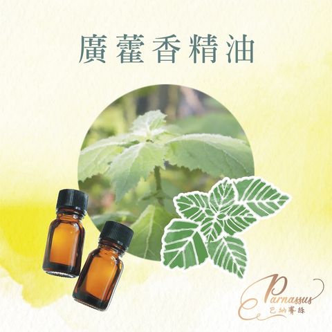 巴納賽絲-蝦皮圖片