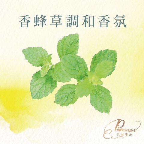 香蜂草調和香氛