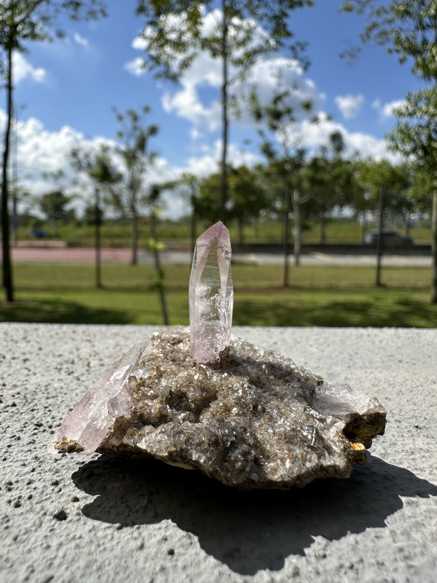 image_E9CE13B4-B125-4E43-B035-44A286DB9FC8_1752681112
