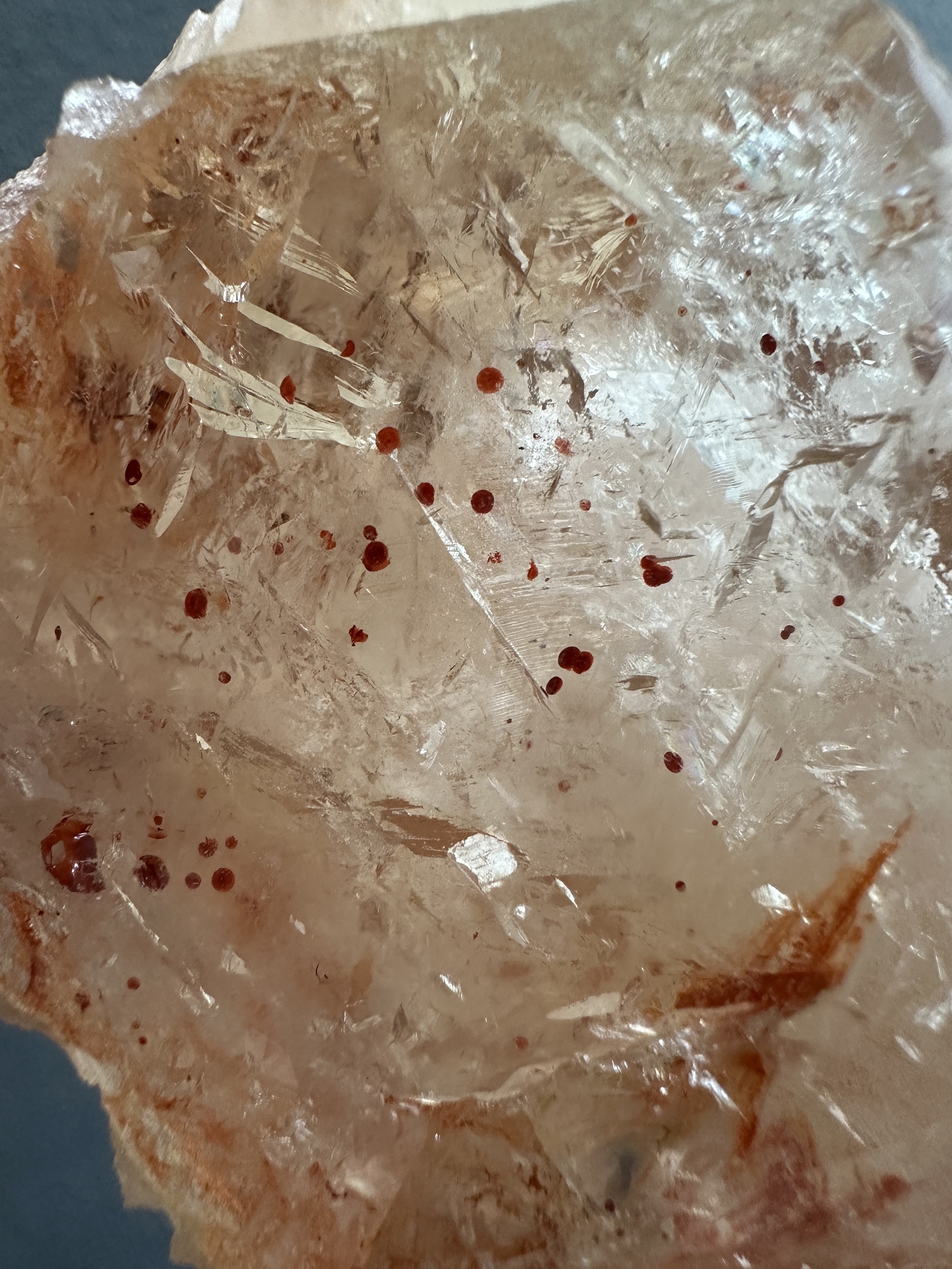 image_38276F79-DFA7-4D58-A24D-1CCAEE817364_1763112051