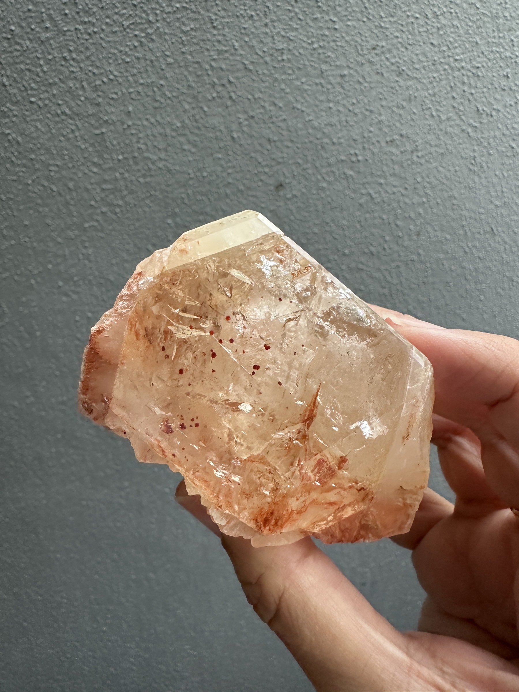 image_FF3BD0F5-7797-4B55-89A7-9D7071A50584_1763112051