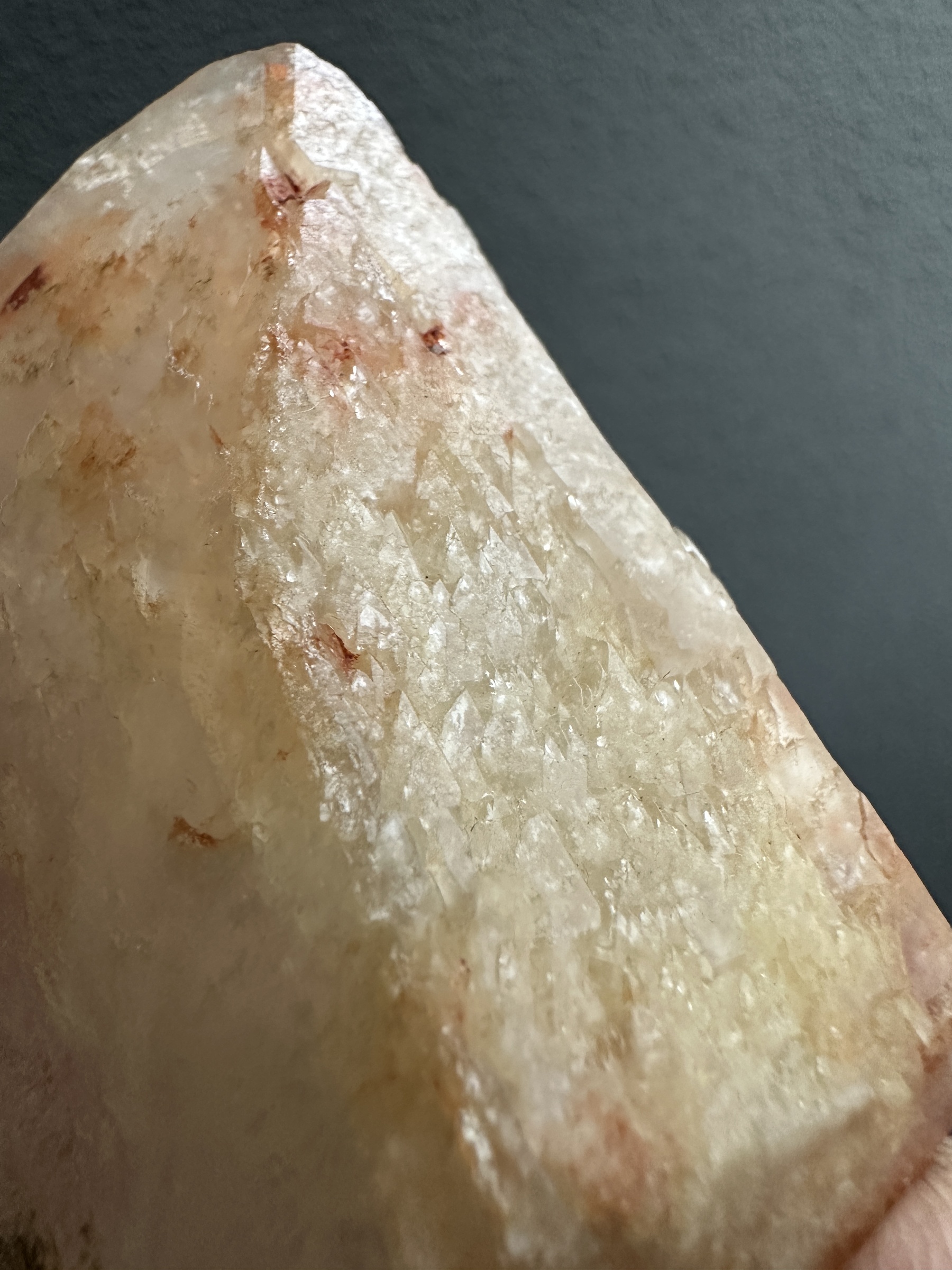 image_495C89D6-7D01-4494-916E-617AD7CA4642_1763112051