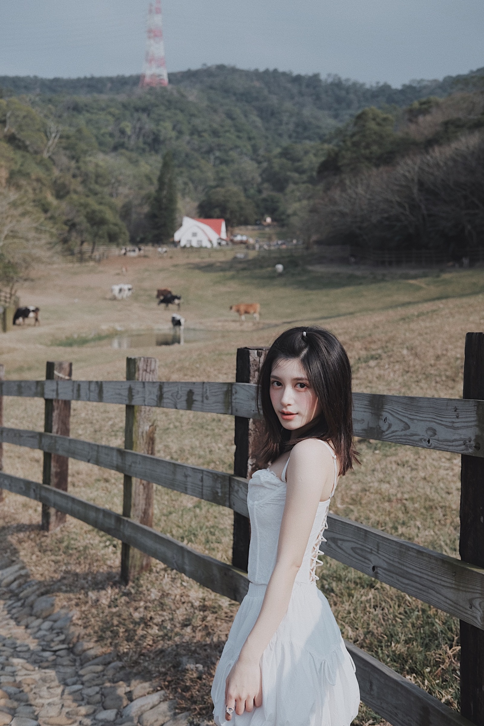 D0204A1A-97C9-4A6E-A93C-328377EAD2C1