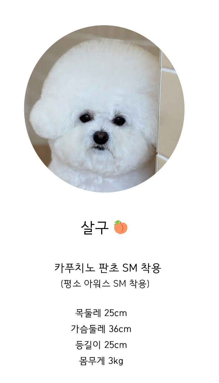 image_1759994750351_1000