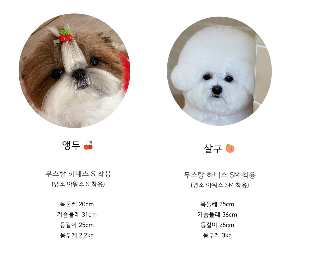 image_1761971868050_1000