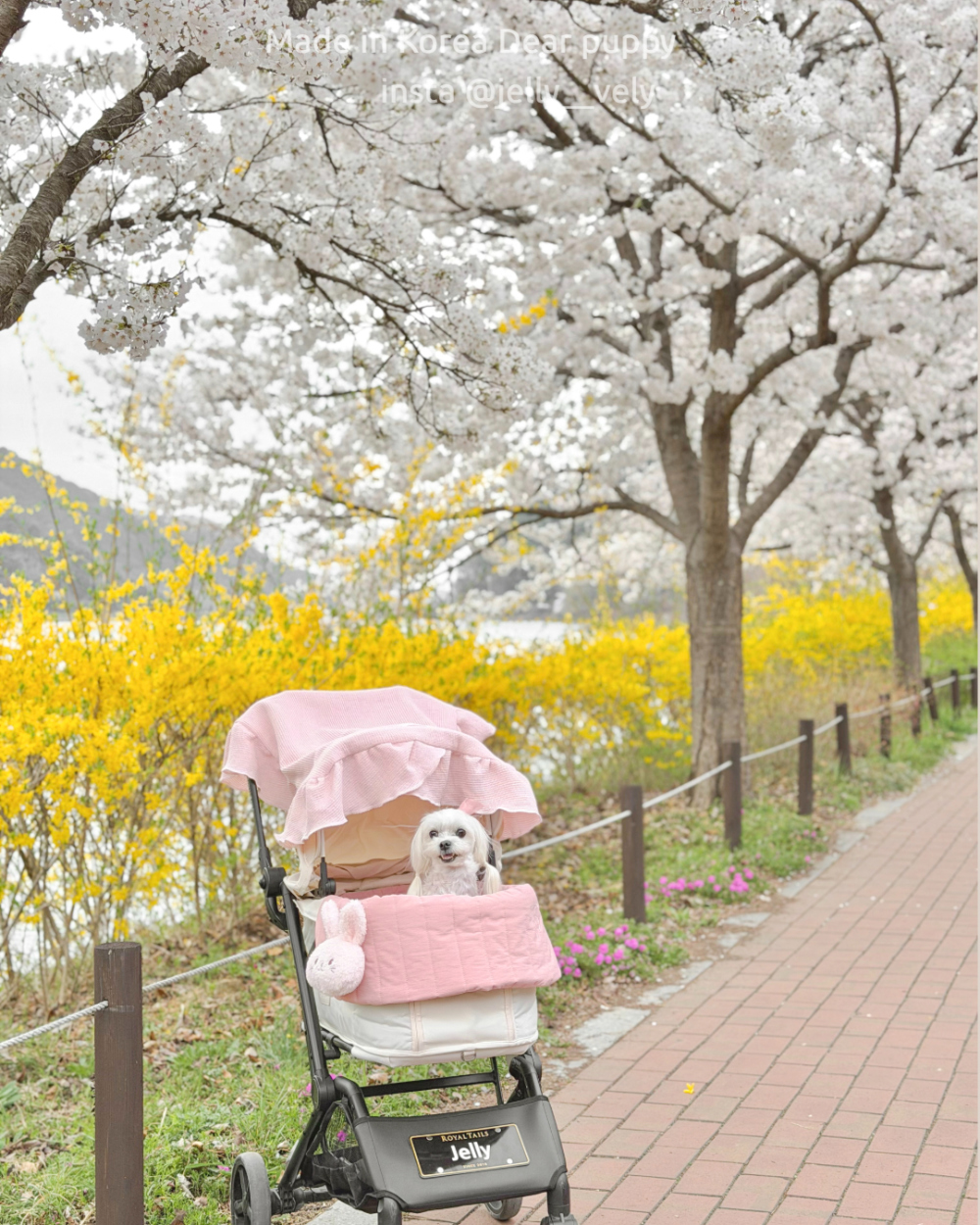 733e847e83d541bb9ab9595a40d5facf