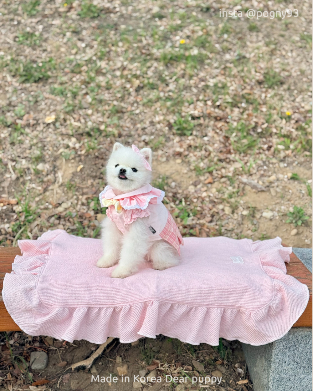 cd8b465014a70bc9973f7d229ec24df9