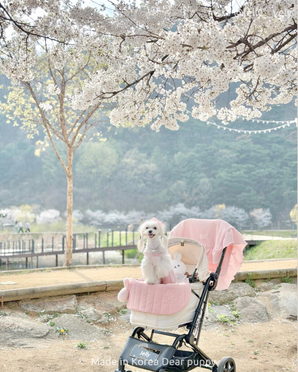 1227b530af3084813d46b90f50459d1e