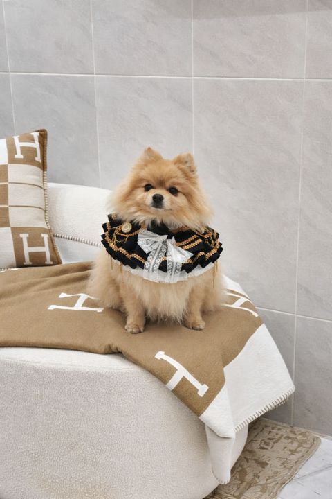 image_E500BF65-734F-41F2-A9F8-68EB2F52E081_1772465770