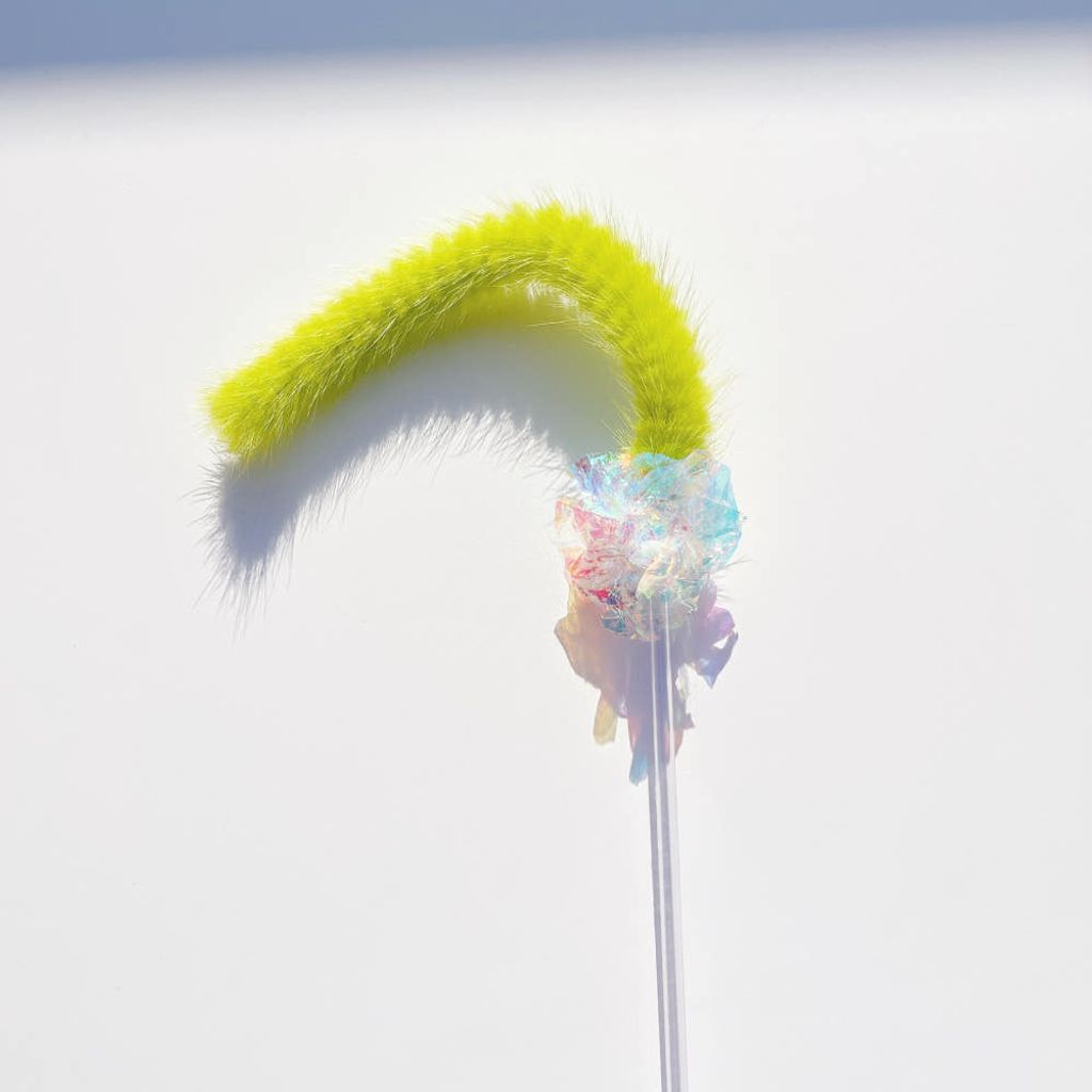 image_38505AE1-97AE-49BD-8379-285164977624_1772470041