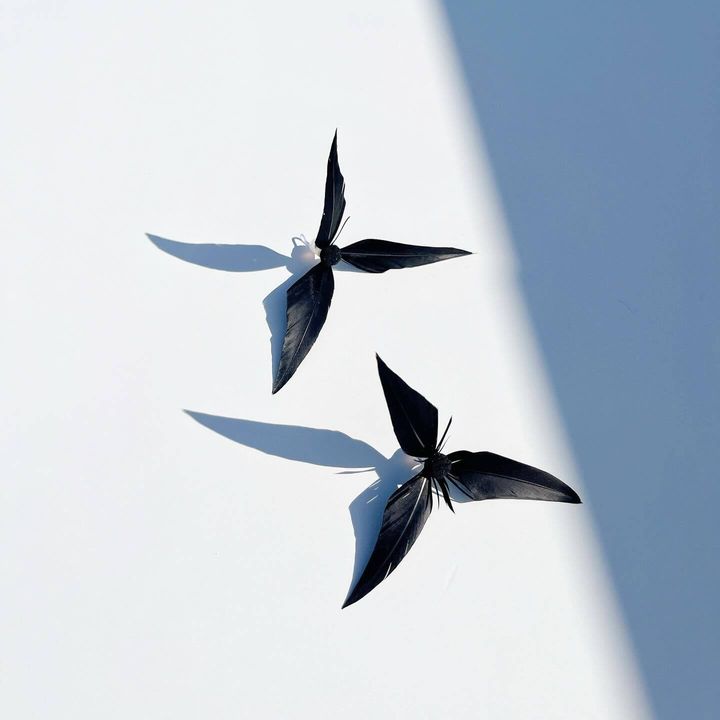 image_2E4E1179-1A04-4E10-927E-6D0D83C19D17_1772470352