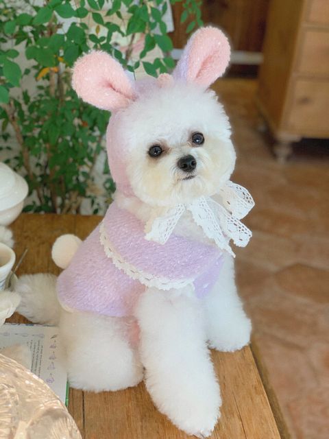 image_D0168564-BD83-4049-A602-4185B2261463_1772483687