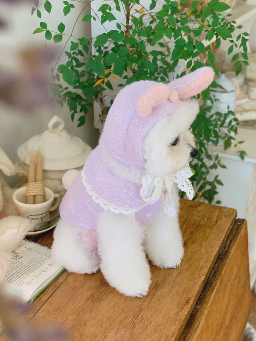 image_79C838E8-4BE9-4039-BEEC-A556277FED98_1772483687