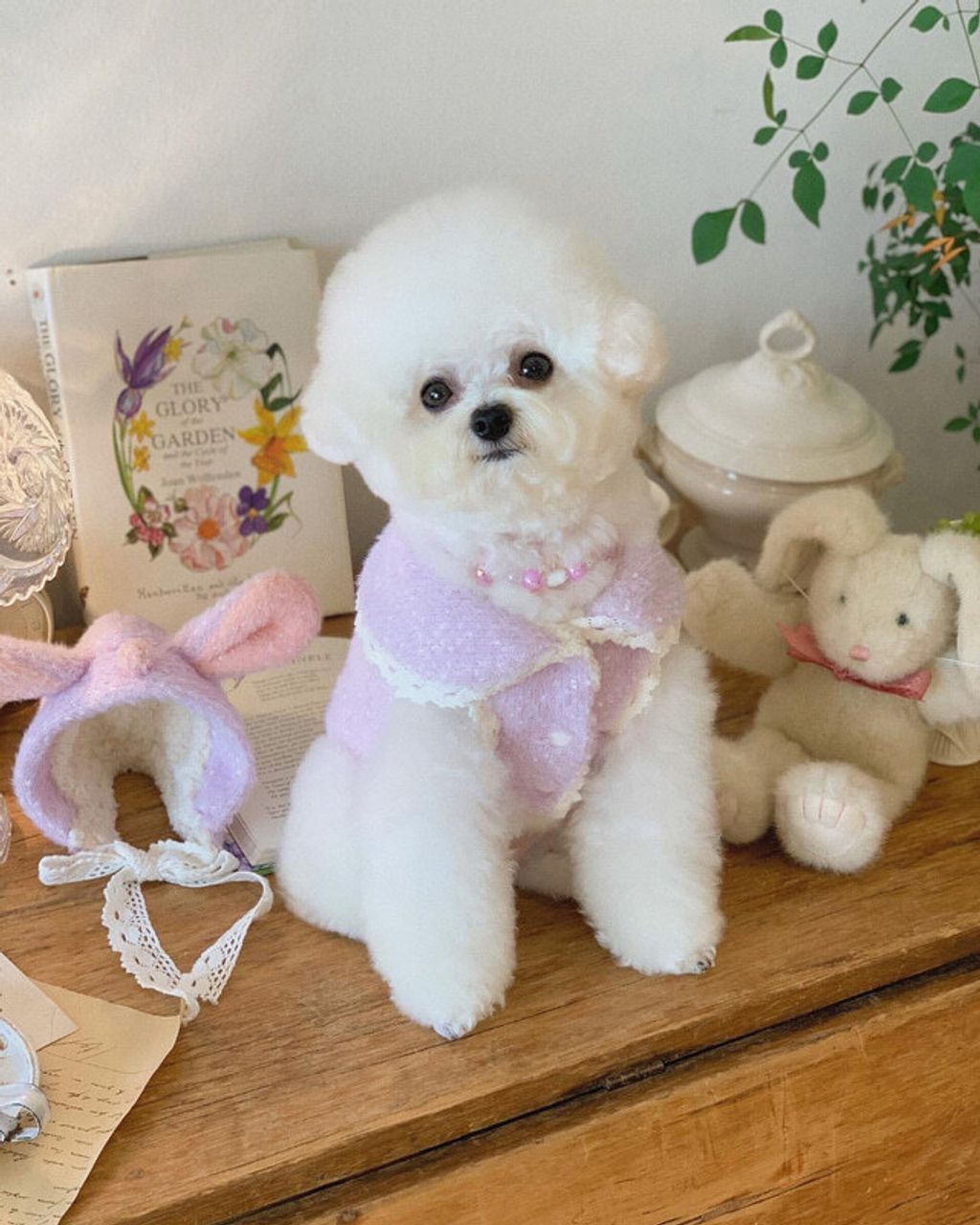 image_25B2DFA8-6957-4787-B78E-A5A6710DBF64_1772483687