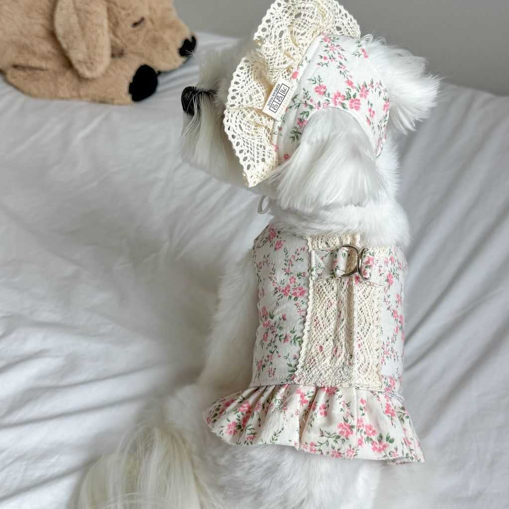 image_C60C225C-13F8-4D8D-ACAE-C762C9B87E57_1772552210