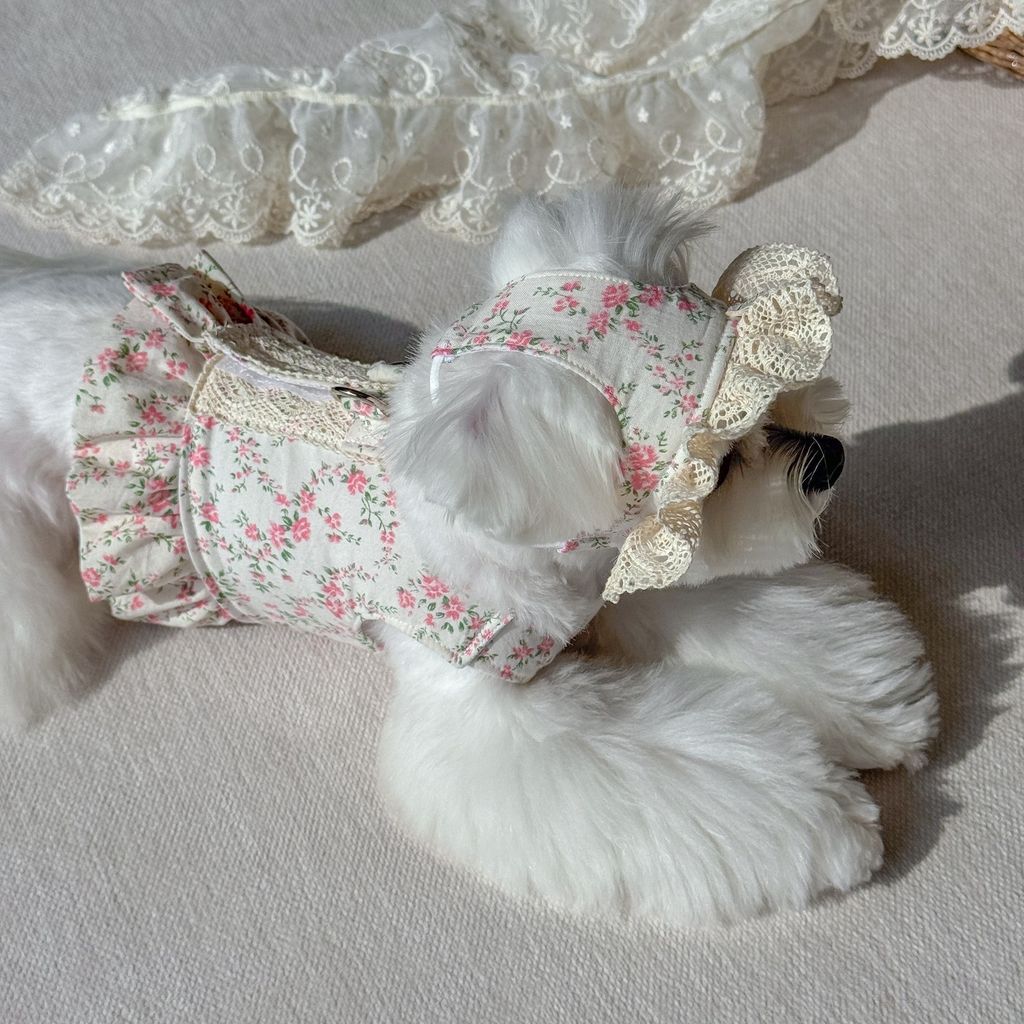 image_724D2BF2-9A1C-45C0-8FAD-9C61A5CCC6A8_1772552210