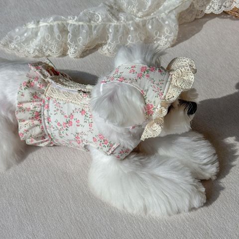 image_724D2BF2-9A1C-45C0-8FAD-9C61A5CCC6A8_1772552210