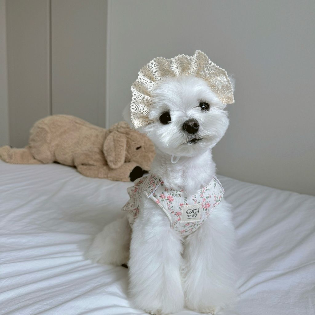 image_B21AB35F-2361-47D6-85F5-7E4AA1F3877D_1772552210