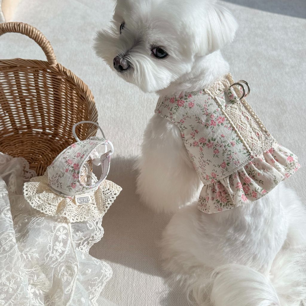 image_8B81818D-D2B6-4D95-96E0-36F768458468_1772552210