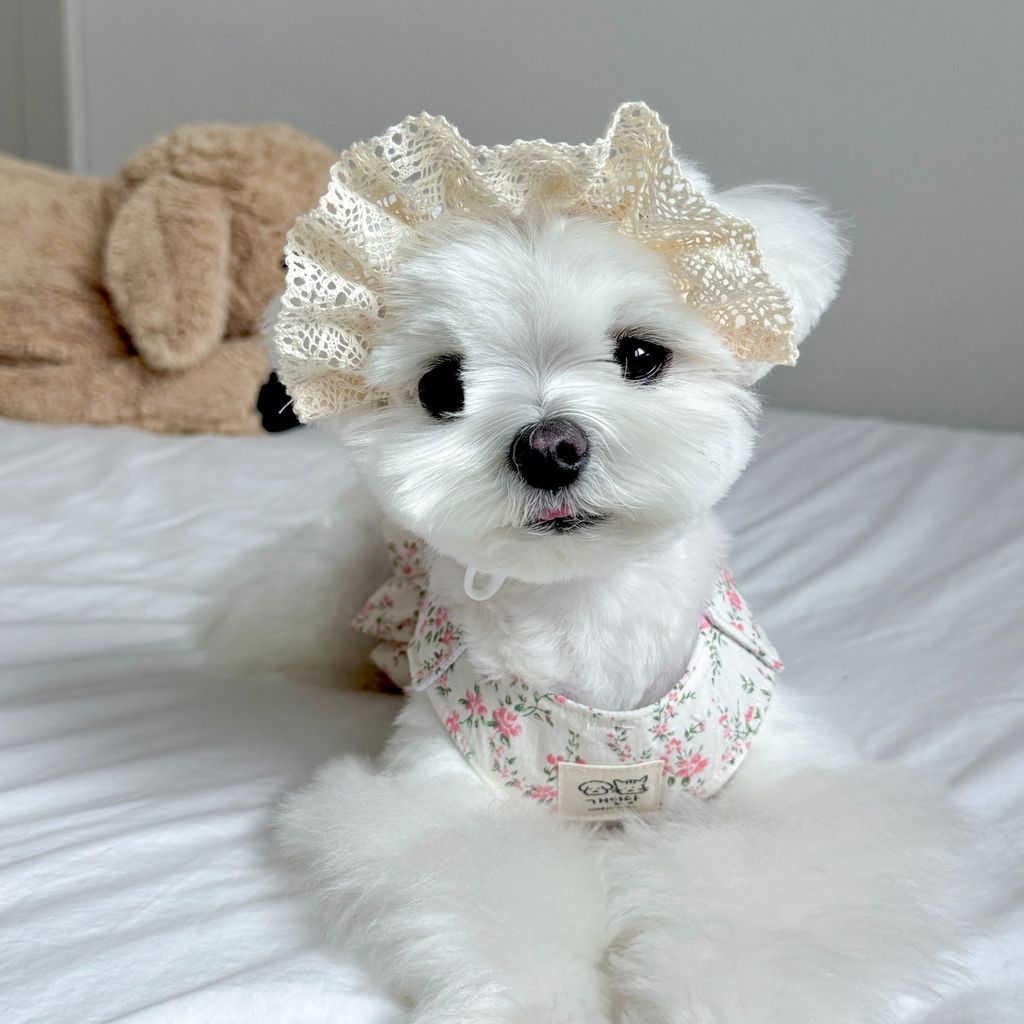 image_89F9C5AF-63C1-4B42-B3F5-D92425475CD4_1772552210