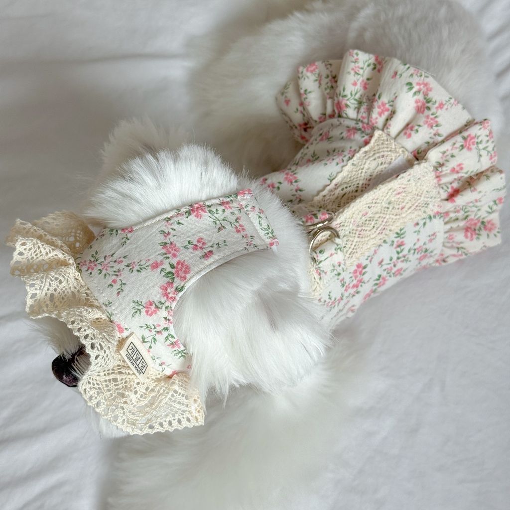 image_E9E66E7E-6328-46D4-8948-B86BB869BEFC_1772552210