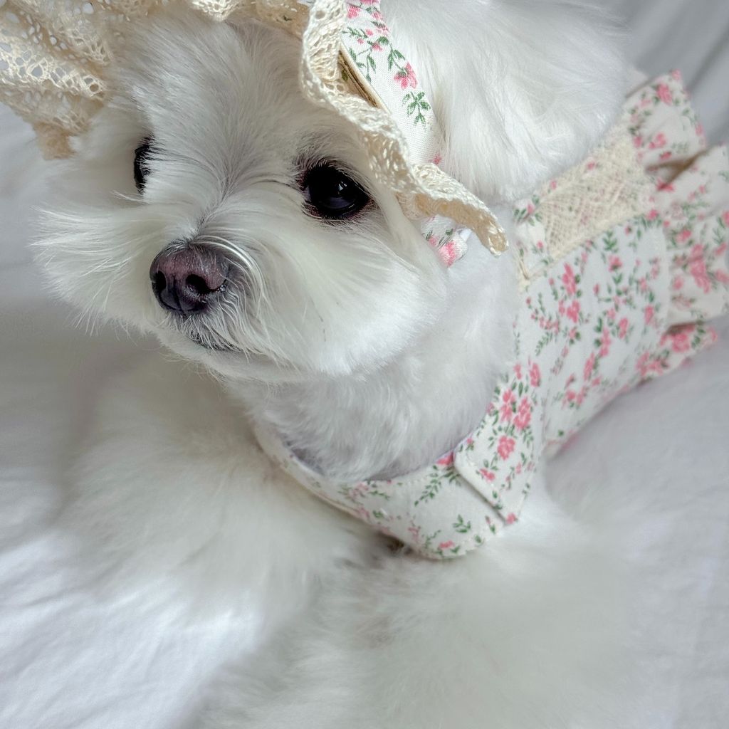 image_BD795E31-1663-4FC3-95A4-B803ECA0E951_1772552210