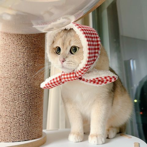 image_231FC2CA-3633-4222-82C4-F70BBB47B8B5_1772553661