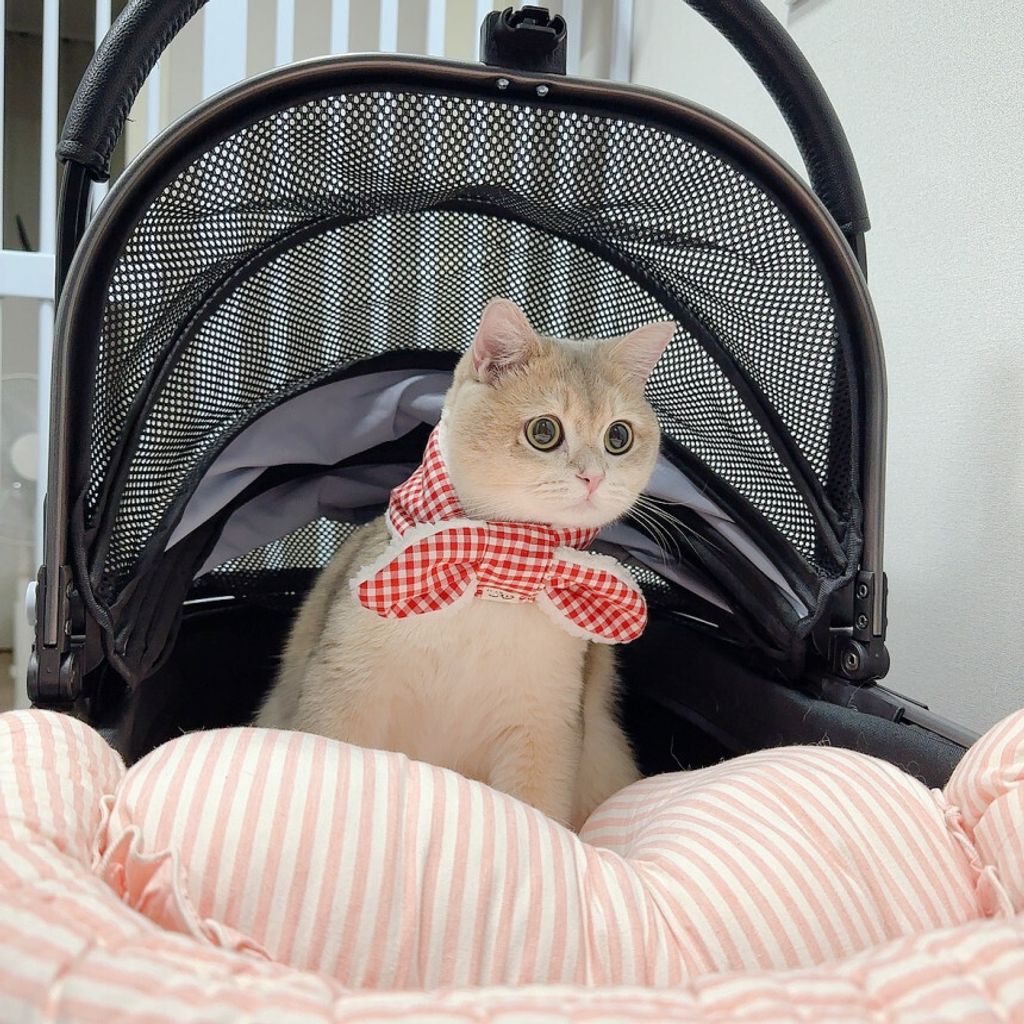 image_71DF8518-8E8D-4840-AC43-7AD0FF7ED1DD_1772553661