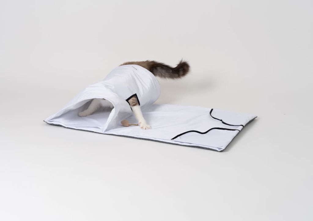 image_115837A5-D5AC-4B8C-BA13-92D6785CCF1E_1772770122