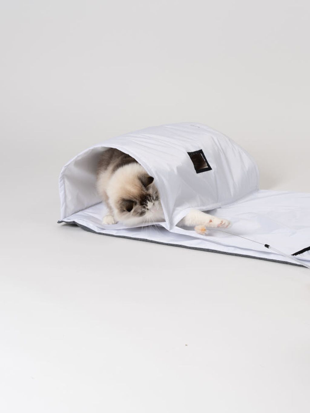 image_B0A584F6-1CCC-48B4-A817-483598FA6864_1772770122